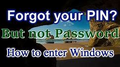 How to enter Windows If you have Forgotten Your PIN, but not your Password