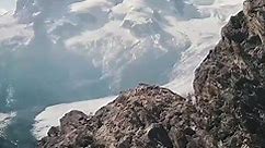 Earth Pics - Seeing the Gorner Glacier in Riffelhorn would...