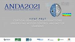 ANDA 2021 Keynote | Yifat Prut
