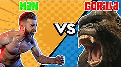 Man VS Gorilla - How Strong Is A Gorilla