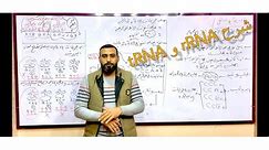 الحمض النووي rRNA و tRNA مستر محمد السبكي #السبكي_في_الأحياء