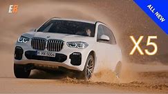 2019 BMW X5 Review - Hands Down the Best X5 EVER