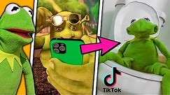 Tik Tok Memes Approved by Kermit the Frog