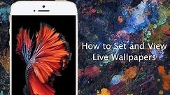 How to set Live Wallpapers on iPhone 6s and iPhone 6s Plus - iPhone Hacks