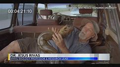 New Mexico-based researchers discover new species of giant anaconda