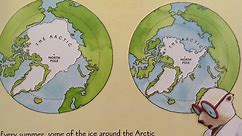 Where Do Polar Bears Live? by Sarah Thomson - Teacher Read Aloud