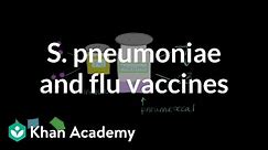 Streptococcus pneumoniae and flu vaccines | Respiratory system diseases | NCLEX-RN | Khan Academy