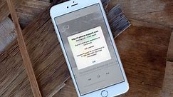 How to get rid of scam pop-up alerts on your iPhone