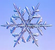 Biletresultat for Christmas Snowflakes. Storleik: 110 x 100. Kjelde: wordlesstech.com