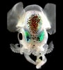 Image result for Sepiolidae. Size: 91 x 100. Source: novataxa.blogspot.com