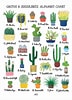 Image result for Cactus Soorten en Namen. Size: 72 x 100. Source: typesofsucculent.blogspot.com