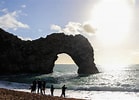 Image result for Man of War Bay Animal. Size: 139 x 100. Source: www.swanage.co.uk