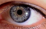 Résultat d’image pour Pupille des yeux. Taille: 158 x 100. Source: www.pinterest.com
