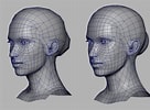 人間 頭 3d に対する画像結果.サイズ: 136 x 100。ソース: free3d.com