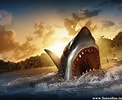 Image result for Moving Wallpapers, Sharks. Size: 122 x 100. Source: wallpapersafari.com