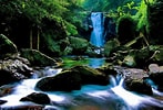 Image result for Waterfall  Background For Windows Site:wallpaperaccess.com. Size: 147 x 100. Source: wallpaperaccess.com
