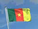 Billedresultat for Cameroun Flag. størrelse: 132 x 100. Kilde: monsieur-des-drapeaux.com