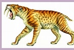 Résultat d’image pour Snow Leopard Evolution. Taille: 146 x 100. Source: www.timetoast.com
