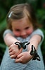 Résultat d’image pour Bisous papillons. Taille: 64 x 100. Source: www.pinterest.com