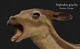 Image result for "challengeria Xiphodon". Size: 164 x 100. Source: www.artstation.com