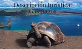 Image result for Galápagos Descripción. Size: 166 x 100. Source: www.youtube.com