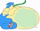 Image result for Fat Sonic. Size: 129 x 100. Source: gaming.ebaumsworld.com