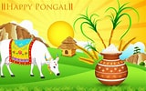 Image result for Pongal Quotes. Size: 160 x 100. Source: www.newsfolo.com