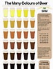 Résultat d’image pour couleur Biere. Taille: 77 x 100. Source: craftbeertime.com