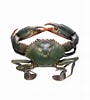 Image result for Blue Swimming Crab in Sri Lanka. Size: 90 x 100. Source: www.evergreenseafood.com.sg