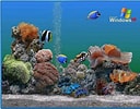 Image result for Vista Screensaver Fish Tank. Size: 128 x 100. Source: download-screensavers.biz