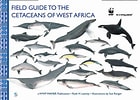 Image result for Types of Cetaceans. Size: 140 x 100. Source: wwf.panda.org