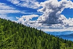 Bildergebnis für Bavarian Forest. Größe: 150 x 100. Quelle: recoms.eu