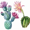 Image result for Cactus Tekenen. Size: 99 x 100. Source: getdrawings.com