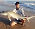 Image result for "carcharhinus Isodon". Size: 123 x 100. Source: bencantrellfish.blogspot.com