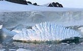 Afbeeldingsresultaten voor "batheuchaeta Antarctica". Grootte: 163 x 100. Bron: edition.cnn.com