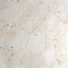 Risultato immagine per Tutti tipi di marmo. Dimensioni: 100 x 100. Fonte: marmicusmar.it
