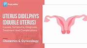 Biletresultat for Uterus didelphys. Storleik: 179 x 100. Kjelde: www.prepladder.com