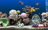 Image result for Vista Screensaver Fish Tank. Size: 160 x 100. Source: readeriop.weebly.com