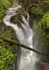 Image result for Olympic National Park. Size: 70 x 100. Source: journey2allnationalparks.com