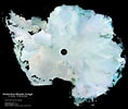 Image result for "cannosphaera Antarctica". Size: 118 x 100. Source: www.brockmann-consult.de