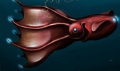 Image result for Black Vampire Squid. Size: 169 x 100. Source: www.iflscience.com