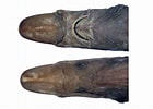 Afbeeldingsresultaten voor "apristurus Japonicus". Grootte: 140 x 100. Bron: fishesofaustralia.net.au