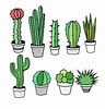 Image result for Cactus Tekenen. Size: 96 x 100. Source: paintingvalley.com