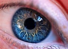 Résultat d’image pour Pupille des yeux. Taille: 137 x 100. Source: jooinn.com