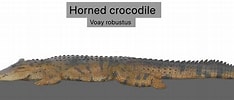 Image result for "cornucalanus Robustus". Size: 234 x 100. Source: www.deviantart.com
