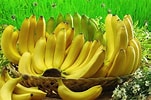 Image result for Pisang Ambon. Size: 151 x 100. Source: jenis.net