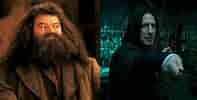 Image result for Harry Potter Characters. Size: 197 x 100. Source: screenrant.com