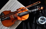 "amphibelone Violina" కోసం చిత్ర ఫలితం. పరిమాణం: 156 x 100. మూలం: wall.alphacoders.com