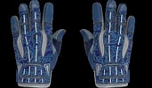 Image result for Amphibious Gloves. Size: 171 x 100. Source: skin2go.net