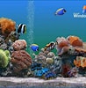 Image result for vista Screensaver Fish Tank. Size: 98 x 100. Source: download-screensavers.biz
